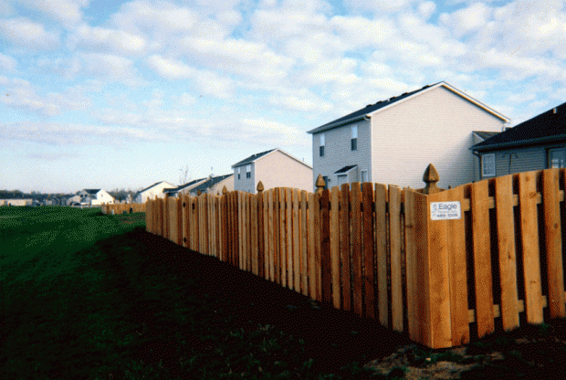 Shadowbox convex fence