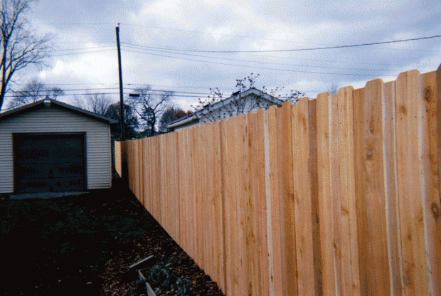 Timberline fence