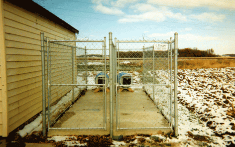 Chainlink dog kennel fence
