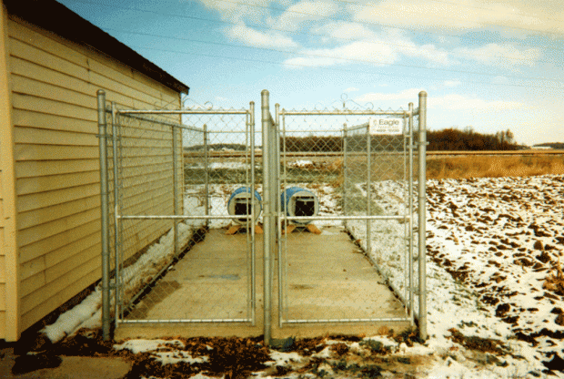 Chainlink dog kennel fence