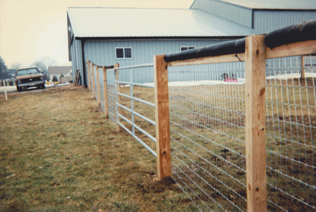 Farm fence with mesh