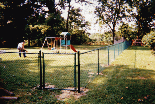 Vinyl-coated chainlink fence